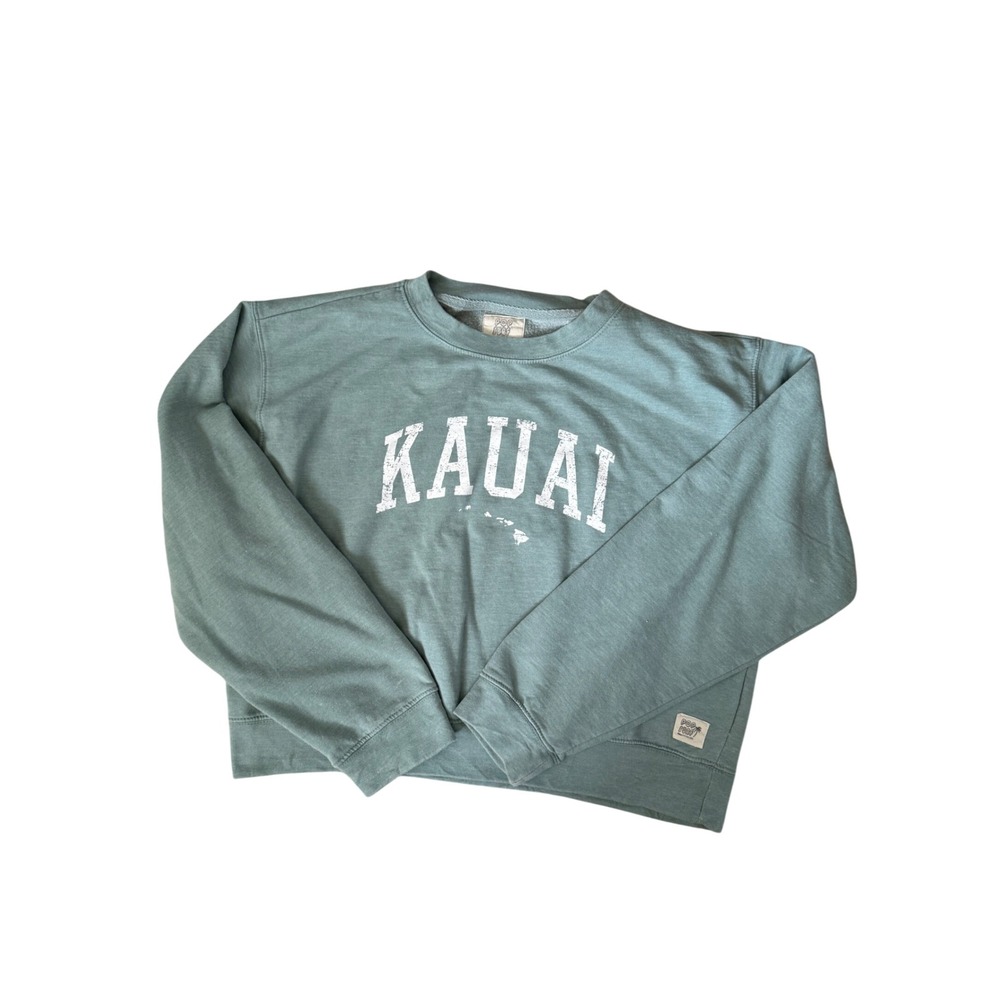 Pop Surf Kauai Hawaii Graphic Sweatshirt Sage Green Distressed Pullover XL